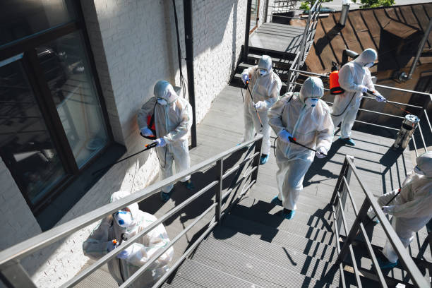 Professional Mold Removal in Pahrump, NV