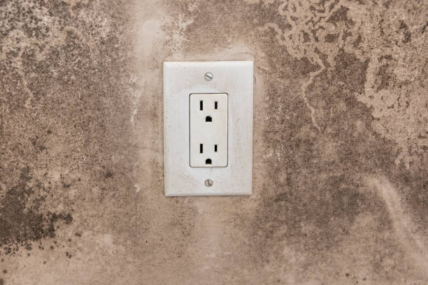 Best Post-Construction Mold Inspection  in Pahrump, NV
