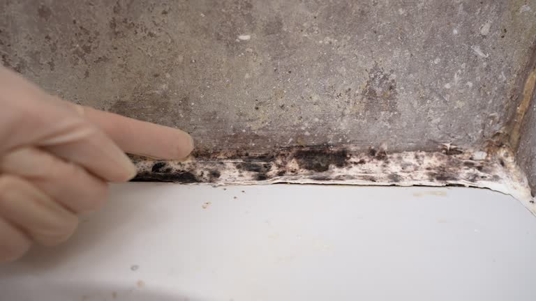 Best Indoor Air Quality Assessment  in Pahrump, NV
